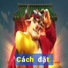 Cách đặt cược XSST ngày 10