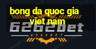 bong da quoc gia viet nam