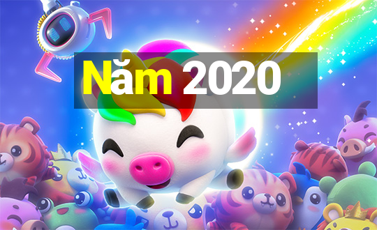 Năm 2020