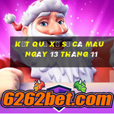 kết quả xổ số cà mau ngày 13 tháng 11