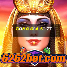 bóng của số 77