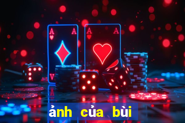 ảnh của bùi tiến dũng