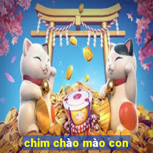 chim chào mào con