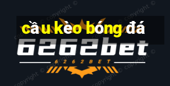 cầu kèo bóng đá