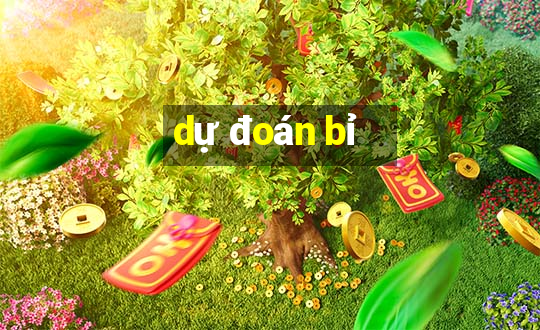 dự đoán bỉ