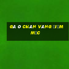 gà ô chân vàng điểm mực