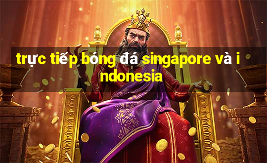 trực tiếp bóng đá singapore và indonesia