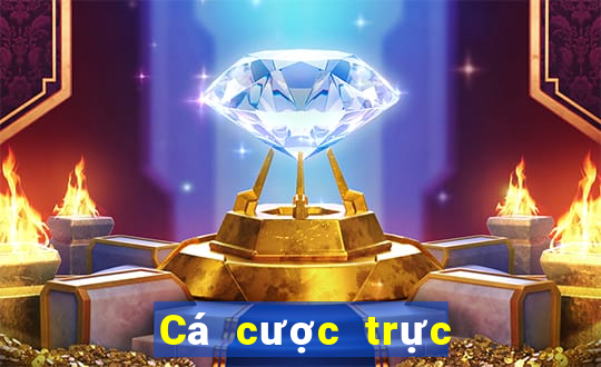 Cá cược trực tuyến mot88