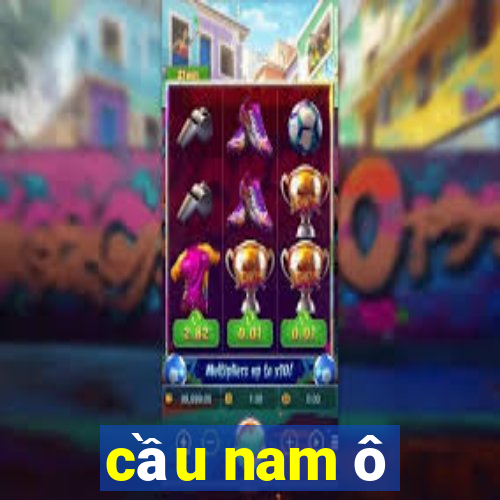 cầu nam ô