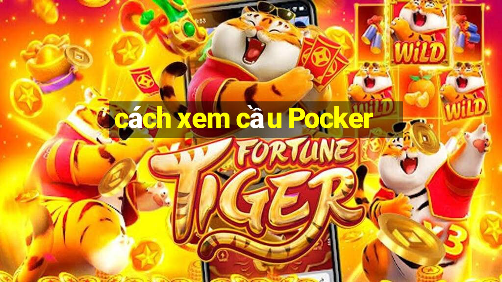 cách xem cầu Pocker