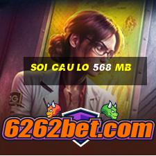 soi cau lo 568 mb