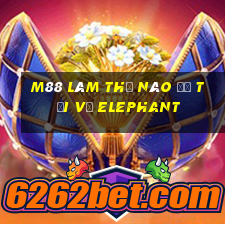 M88 Làm thế nào để tải về Elephant