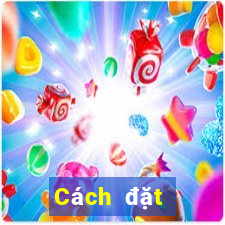 Cách đặt cược XSTV ngày 8