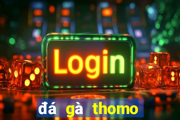 đá gà thomo hôm nay bình luận viên