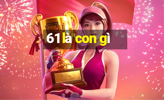 61 là con gì