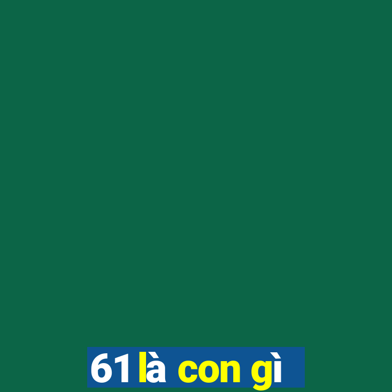 61 là con gì