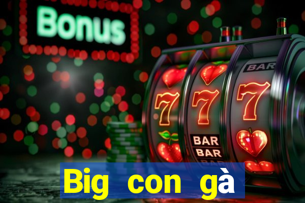 Big con gà trống tải về