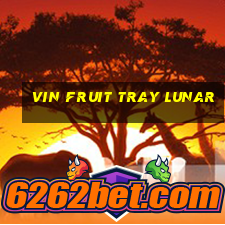 vin fruit tray lunar