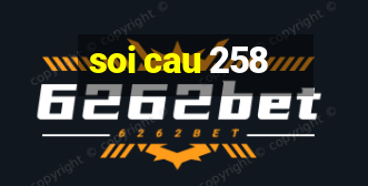 soi cau 258