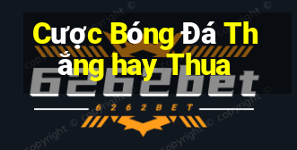 Cược Bóng Đá Thắng hay Thua