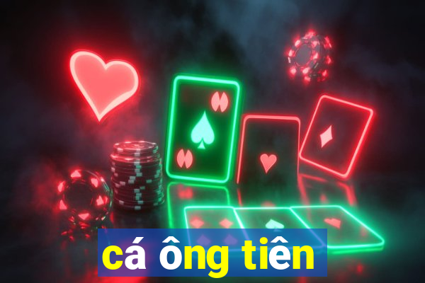 cá ông tiên