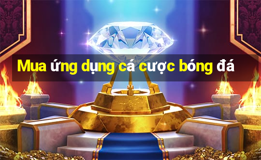 Mua ứng dụng cá cược bóng đá