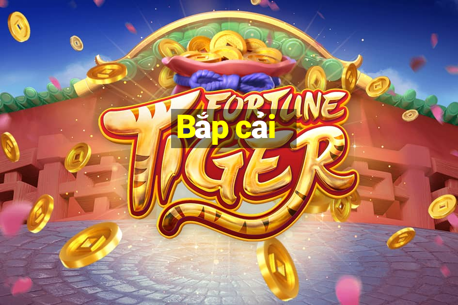 Bắp cải