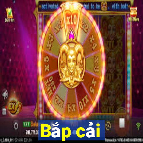 Bắp cải