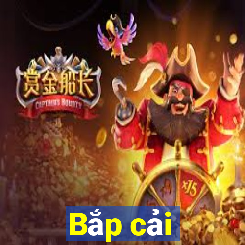 Bắp cải