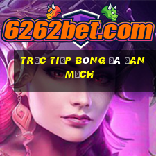 trực tiếp bóng đá đan mạch