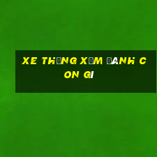 xe thủng xăm đánh con gì