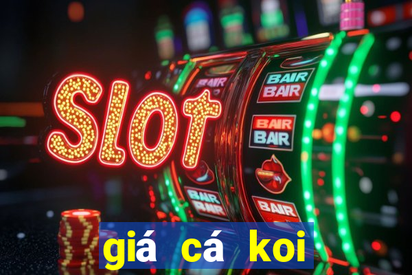 giá cá koi việt nam