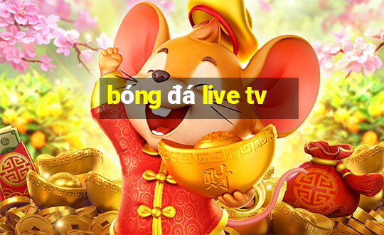 bóng đá live tv