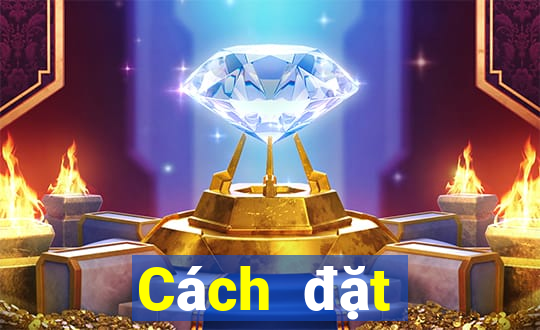 Cách đặt cược XSNT ngày mai