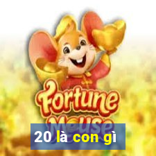 20 là con gì