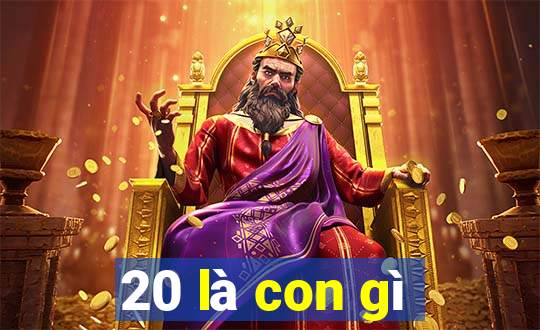 20 là con gì