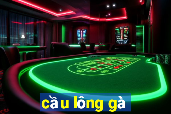 cầu lông gà