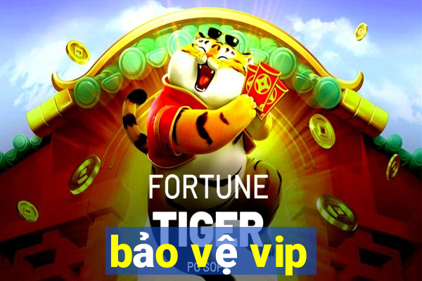 bảo vệ vip