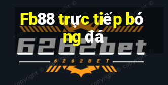 Fb88 trực tiếp bóng đá