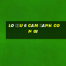 lô đầu 6 câm đánh con gì