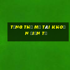 Tổng thể mở tài khoản điện tử