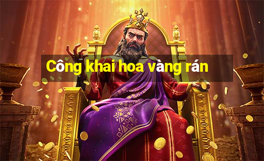 Công khai hoa vàng rán