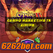 casino marketing training