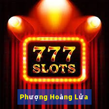 Phượng Hoàng Lửa