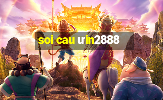 soi cau ưin2888