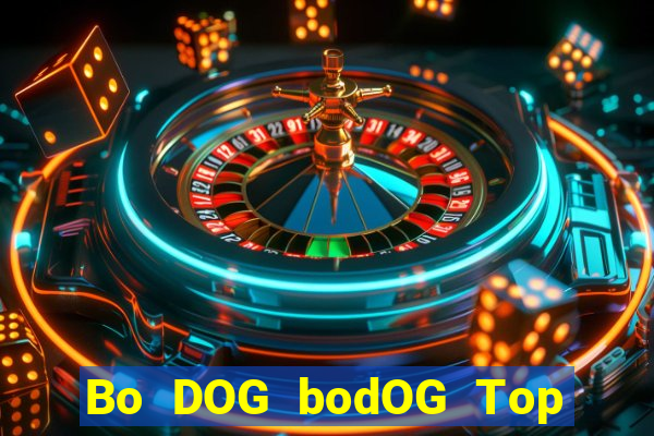 Bo DOG bodOG Top Bo Net