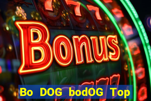 Bo DOG bodOG Top Bo Net