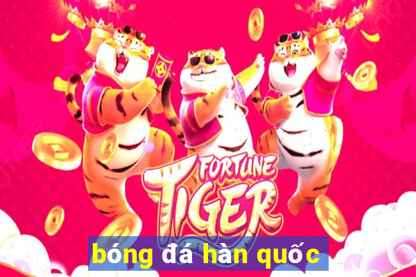 bóng đá hàn quốc