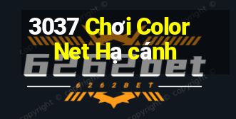 3037 Chơi Color Net Hạ cánh