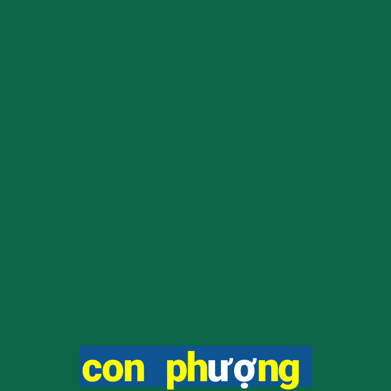 con phượng hoàng lửa